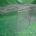 Animal Cage Traps Live Bird Trap